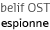 belif OST espionne